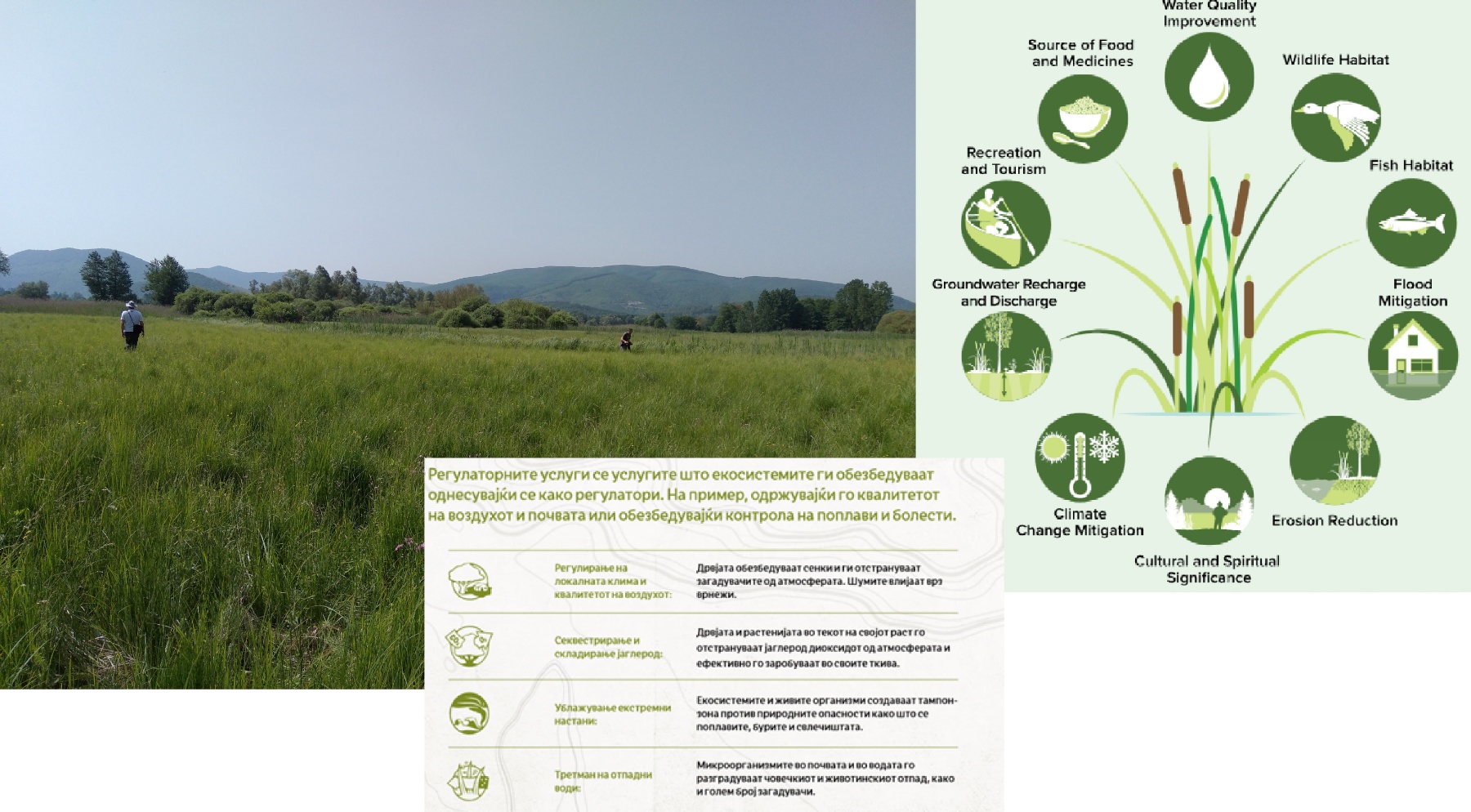 2-ра Работилница : Екосистемски услуги – поврзаност со ретки и ендемични видови од Белчишко блато и мерки за зачувување