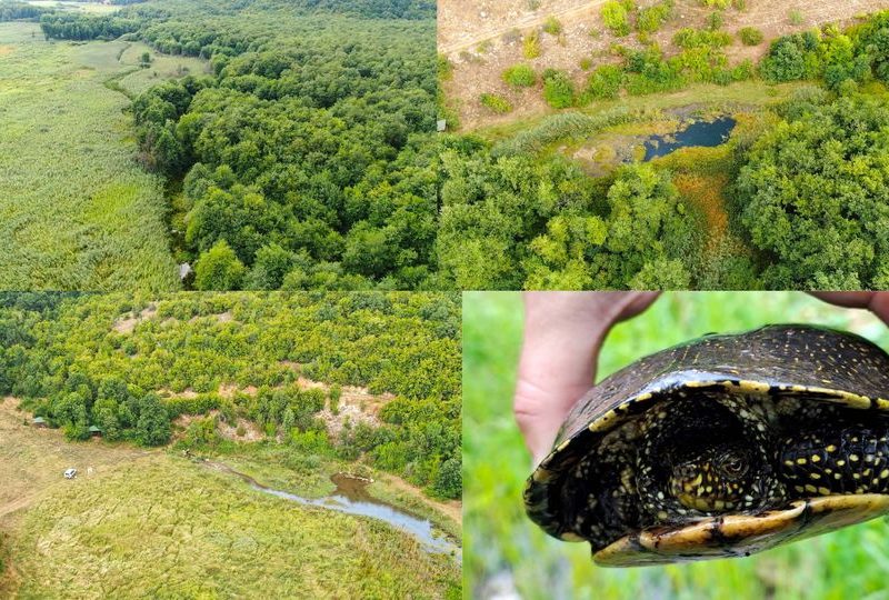 Објавен Предлог на Закон за прогласување на Белчишко Блато за заштитено подрачје во категорија IV – Парк на природа