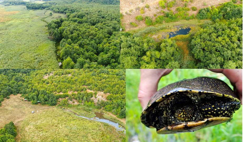 Објавен Предлог на Закон за прогласување на Белчишко Блато за заштитено подрачје во категорија IV – Парк на природа