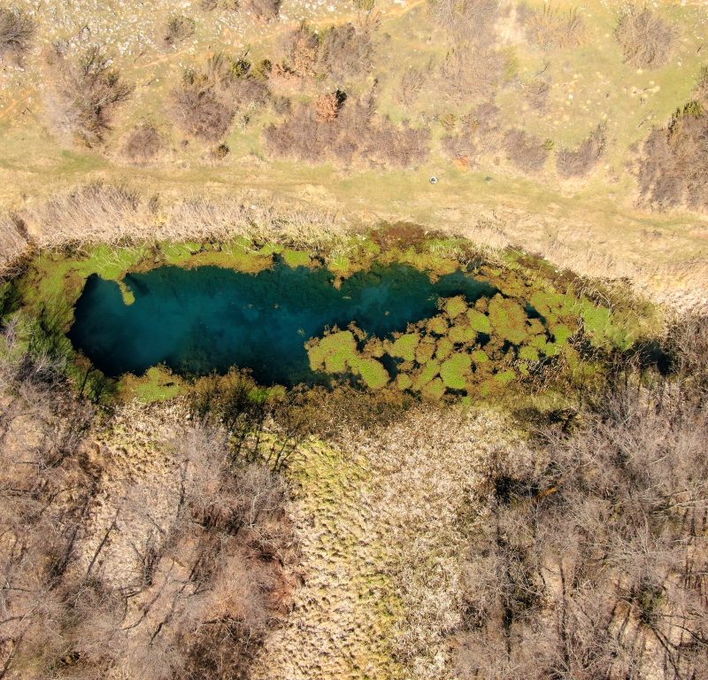 Министерството за животна средина и просторно планирање во соработка со општинa Дебрца, Ве поканува да присуствувате на јавна расправа по Нацрт Закон за прогласување на Белчишко Блато за заштитено подрачје во категорија IV – Парк на природа