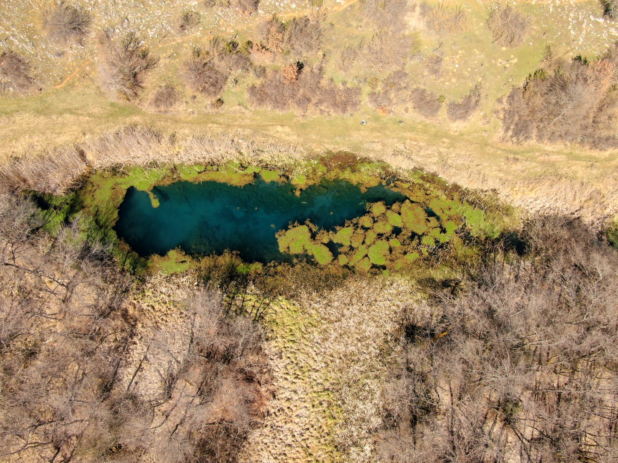 Министерството за животна средина и просторно планирање во соработка со општинa Дебрца, Ве поканува да присуствувате на јавна расправа по Нацрт Закон за прогласување на Белчишко Блато за заштитено подрачје во категорија IV – Парк на природа