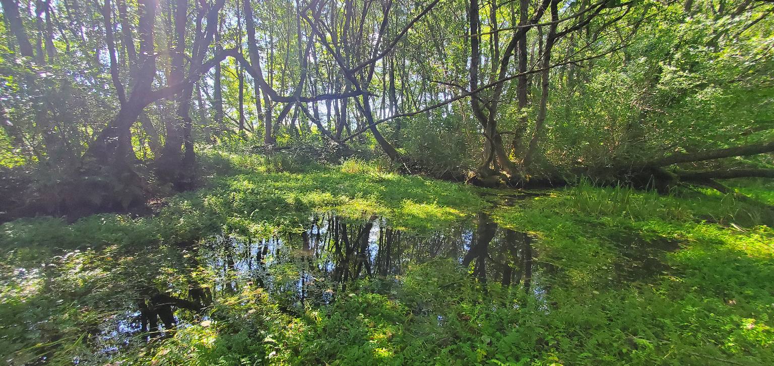 Покана до јавноста за присуство на јавна расправа по Нацрт Закон за прогласување на Белчишко Блато за заштитено подрачје во категорија IV – Парк на природа