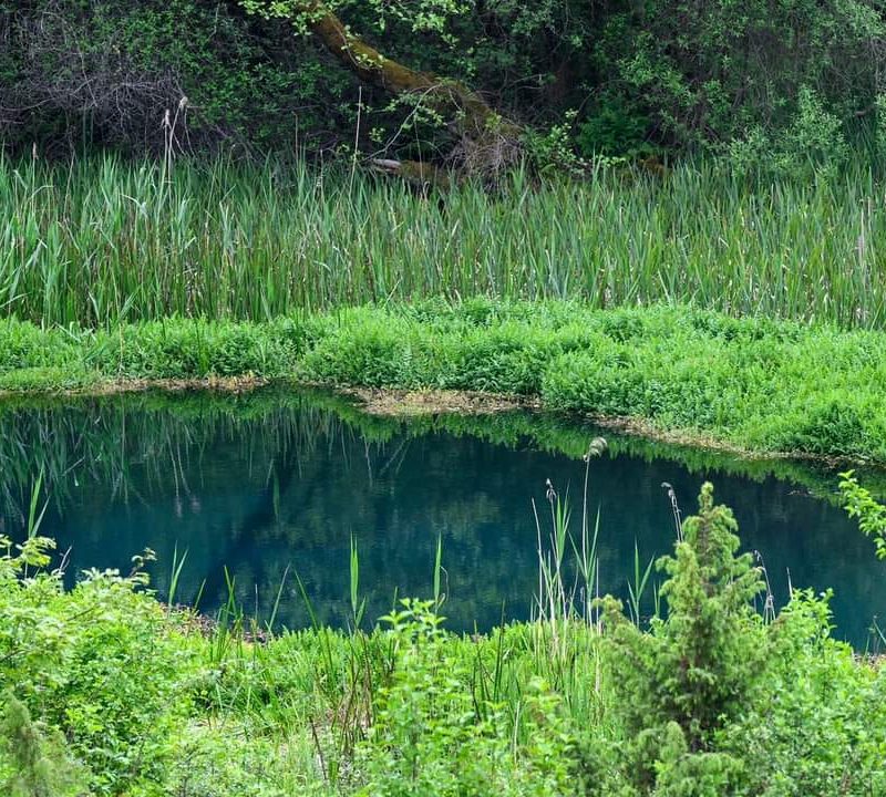 ПОКАНА за Јавна расправа по Нацрт на Закон за прогласување на Белчишко Блато за заштитено подрачје во категорија IV – Парк на природа