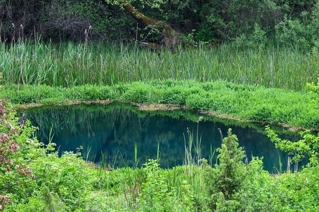 ПОКАНА за Јавна расправа по Нацрт на Закон за прогласување на Белчишко Блато за заштитено подрачје во категорија IV – Парк на природа